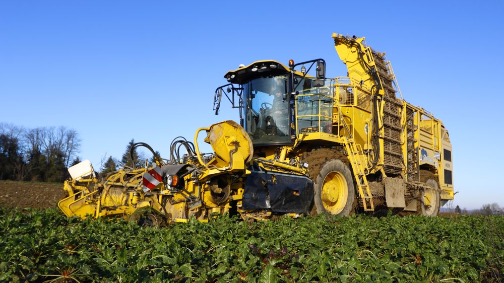 La Ropa Panther monte en altitude