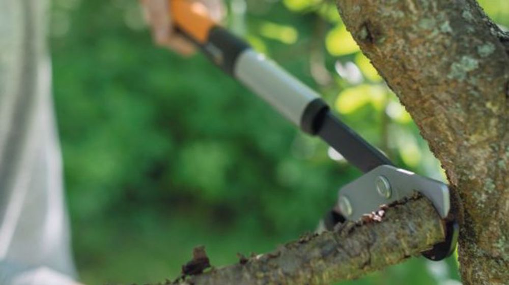 Fiskars PowerGear X taille dans le dur