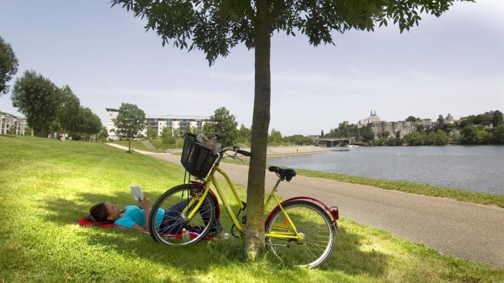 Villes Vertes : des chiffres parlant avant les municipales