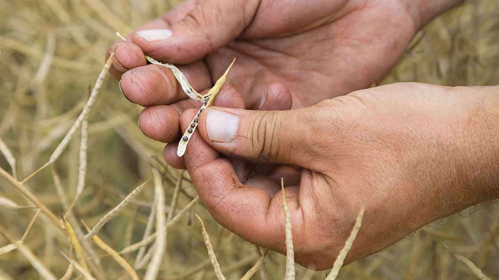 John Deere se renforce dans le conseil agricole John Deere se renforce dans le conseil agricole
