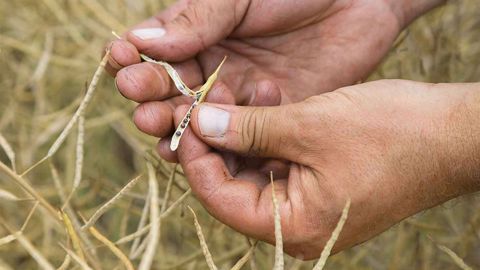 John Deere se renforce dans le conseil agricole John Deere se renforce dans le conseil agricole