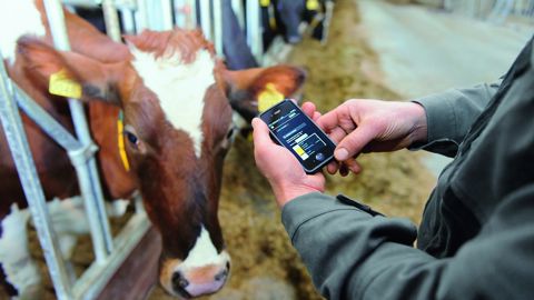 GEA simplifie en effet le management de la ferme grâce à un accès uniformisé aux informations de l'élevage. GEA simplifie en effet le management de la ferme grâce à un accès uniformisé aux informations de l'élevage.