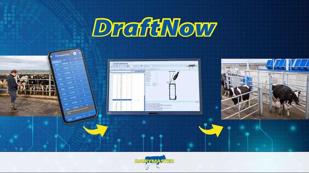 Dans l’application mobile dédiée, il suffit à l’exploitant de cliquer sur le nom de l'animal et le système se charge de l’isoler lors de son passage dans la porte. 