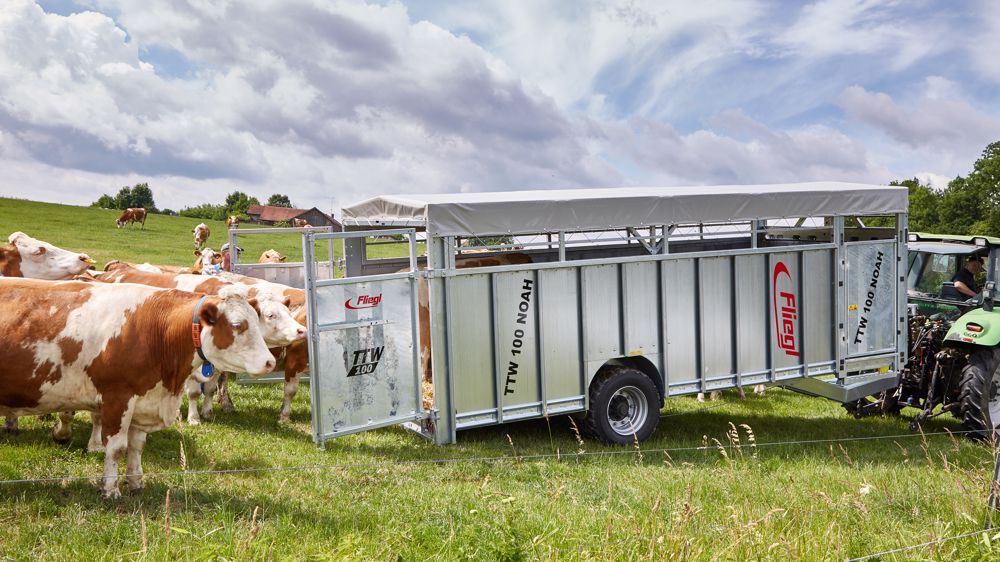 Les bétaillères TTW 100 Noah et TTW 140 Tandem Noah sont homologuées pour la France depuis le début de l'année 2021. Les bétaillères TTW 100 Noah et TTW 140 Tandem Noah sont homologuées pour la France depuis le début de l'année 2021.