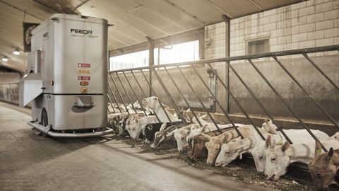 Alimenté par des batteries au lithium, l'automate Feedr de Sieplo est dimensionné pour alimenter un troupeau d’une taille maximale de 200 vaches ou taurillons, 2 000 chèvres ou 2 000 veaux. Alimenté par des batteries au lithium, l'automate Feedr de Sieplo est dimensionné pour alimenter un troupeau d’une taille maximale de 200 vaches ou taurillons, 2 000 chèvres ou 2 000 veaux.