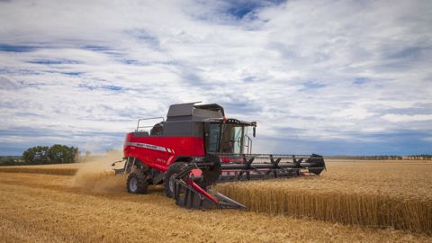 Massey Ferguson MF Beta 7370 : une moissonneuse-batteuse simple et économique Massey Ferguson MF Beta 7370 : une moissonneuse-batteuse simple et économique