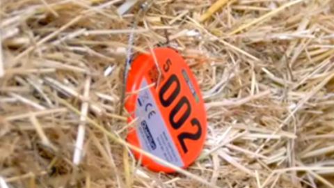 Ukal Elevage : La surveillance de surchauffe fourragère en temps réel Ukal Elevage : La surveillance de surchauffe fourragère en temps réel