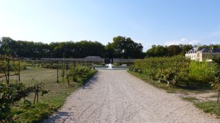 L'une des allées du célèbre Potager du Roi où se situe l'ENSP de Versailles.