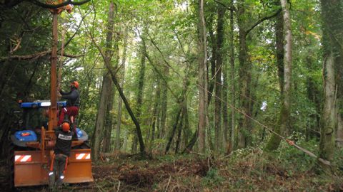 Le mât, de 6,5 m de hauteur, est maintenu par des câbles synthétiques accrochés à quatre arbres l’empêchant de vriller. Le mât, de 6,5 m de hauteur, est maintenu par des câbles synthétiques accrochés à quatre arbres l’empêchant de vriller.