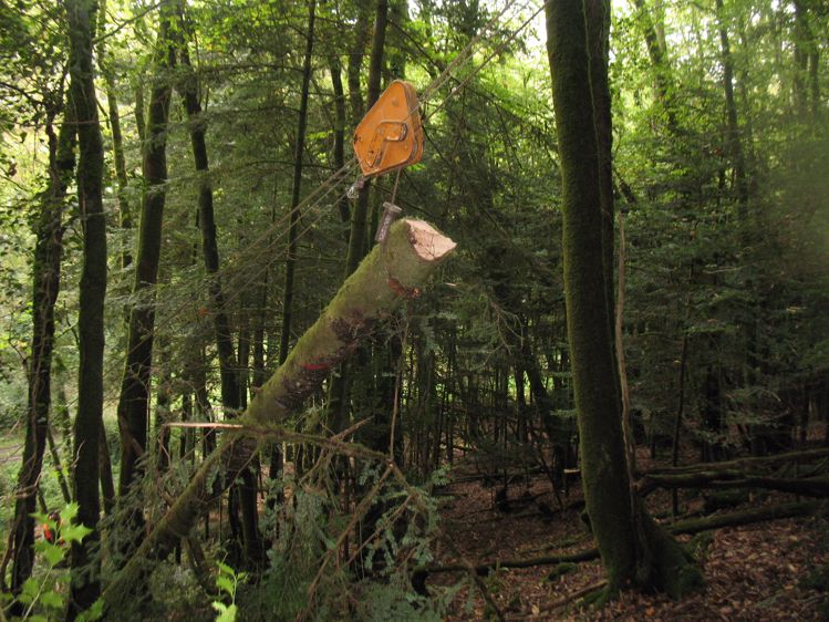 Gestion forestière débusquage par câblemât