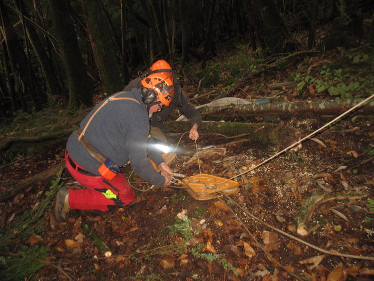 Gestion forestière débusquage par câblemât
