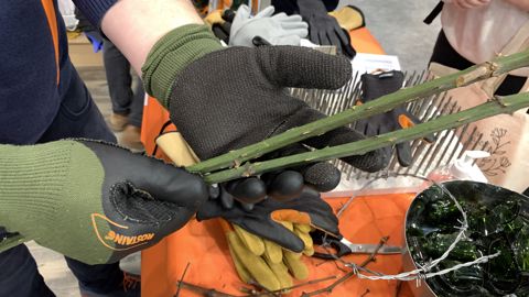 Présentation et démonstration de l'usage des gants Sarment. Présentation et démonstration de l'usage des gants Sarment.