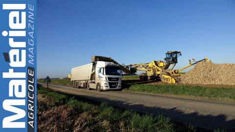 Vidéo : betteraves sucrières, du tas au camion Vidéo : betteraves sucrières, du tas au camion