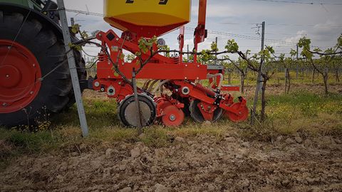 Maschio Gaspardo : l’enherbement en semis direct avec le Diretta-Vigne V4 Maschio Gaspardo : l’enherbement en semis direct avec le Diretta-Vigne V4