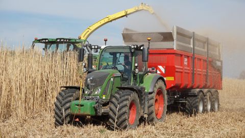 Le chantier de récolte nécessite trois ensembles tracteurs-remorques pour transporter le miscanthus sur le lieu de stockage distant de 8 km. Le chantier de récolte nécessite trois ensembles tracteurs-remorques pour transporter le miscanthus sur le lieu de stockage distant de 8 km.