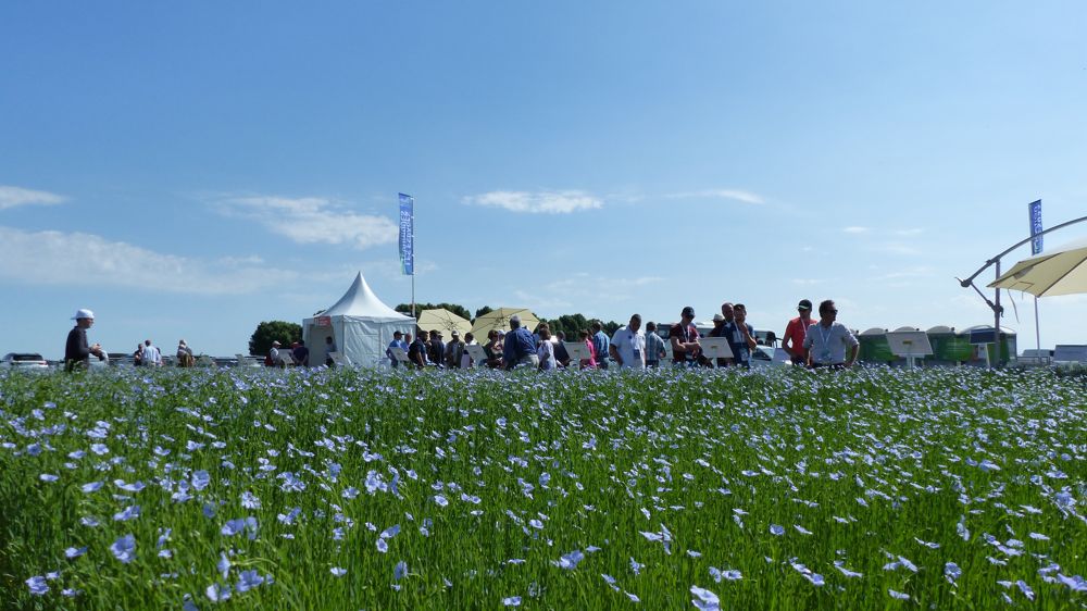 Les nouveautés à ne pas manquer lors du premier salon Lin'Ovation