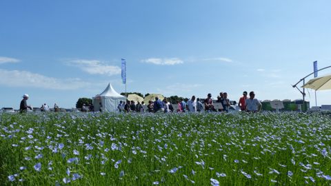 Les nouveautés à ne pas manquer lors du premier salon Lin'Ovation Les nouveautés à ne pas manquer lors du premier salon Lin'Ovation