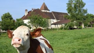 Les bruits et les odeurs de la campagne protégés par la loi Les bruits et les odeurs de la campagne protégés par la loi
