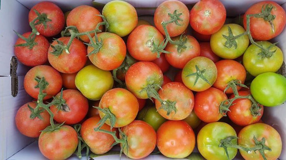 L’État annonce un plan de surveillance renforcé