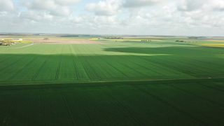 La récolte de céréales baisserait de 6,2 millions de tonnes en 2020 La récolte de céréales baisserait de 6,2 millions de tonnes en 2020