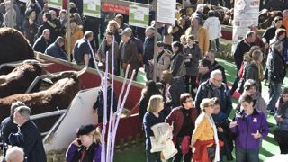 Le Salon de l’agriculture obligé de fermer un jour plus tôt Le Salon de l’agriculture obligé de fermer un jour plus tôt
