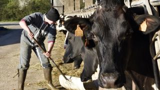 La production agricole devient une priorité absolue La production agricole devient une priorité absolue