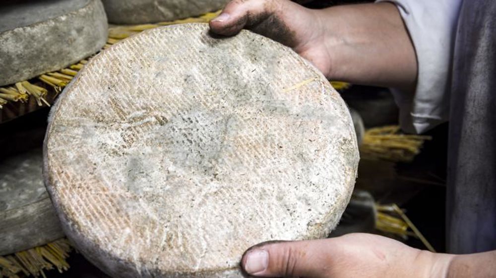 La double peine pour les appellations laitières