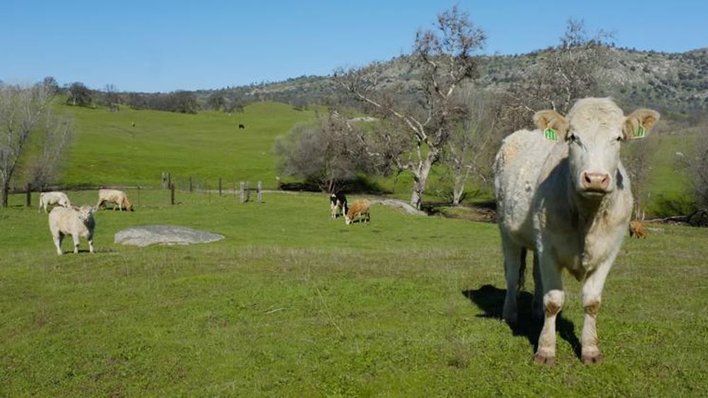 « La réorientation des flux commerciaux n’est pas si évidente »