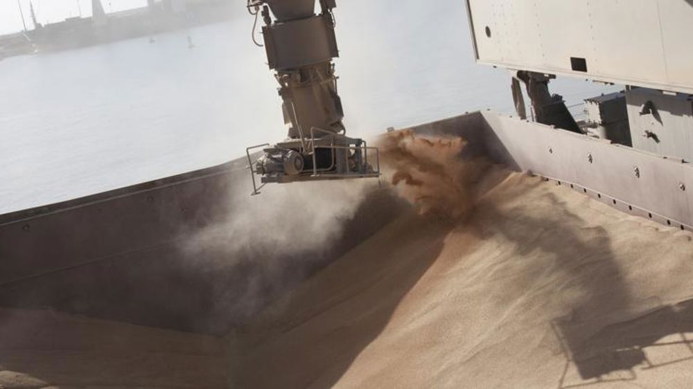 Les cours du blé et de l’orge toujours au plus haut 