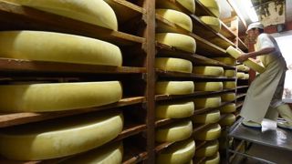 La filière du Comté réduit sa collecte laitière La filière du Comté réduit sa collecte laitière
