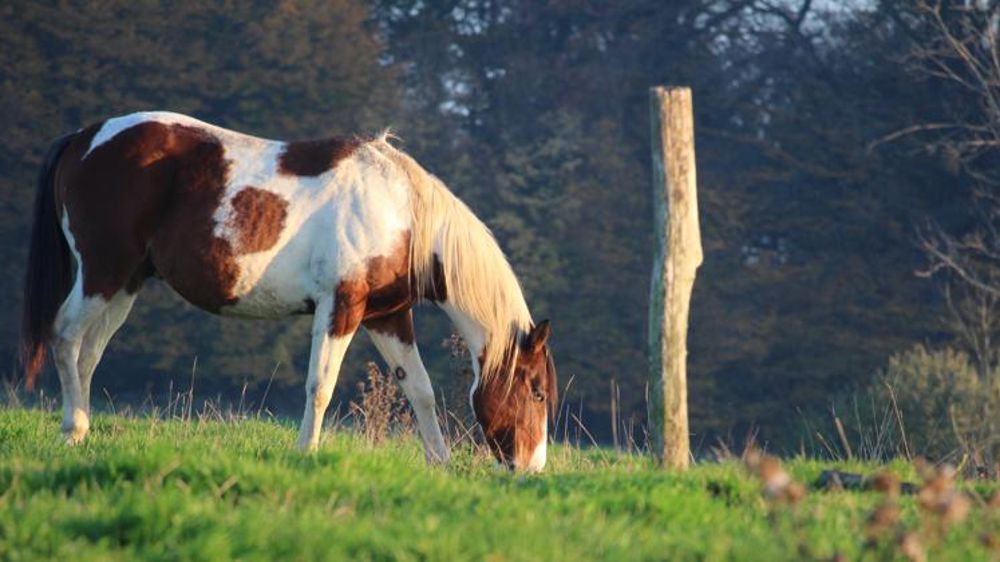 Plus que deux jours pour participer à l’enquête « impact Covid-19 »
