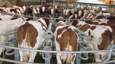 352 €/1 000 litres pour les producteurs européens 352 €/1 000 litres pour les producteurs européens