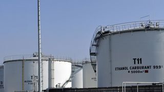 Le maïs, première victime de la chute du prix du pétrole Le maïs, première victime de la chute du prix du pétrole
