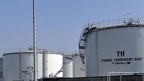 Le maïs, première victime de la chute du prix du pétrole Le maïs, première victime de la chute du prix du pétrole
