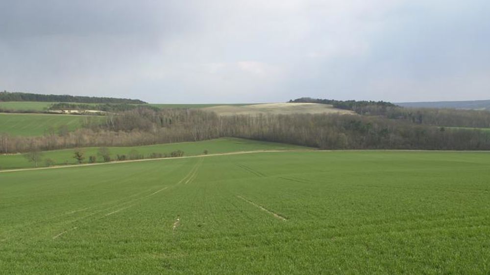 Les orges d’hiver ont dépassé le stade épi 1 cm