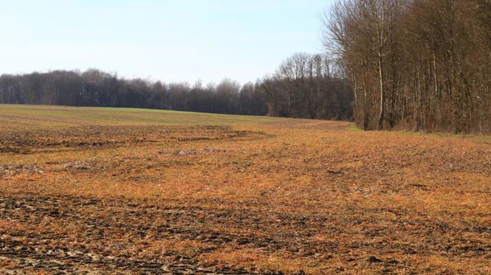 Le caractère cancérogène du glyphosate à nouveau étudié par le Circ