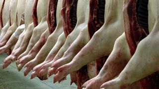 Plus de 100 cas de Covid-19 dans deux abattoirs Plus de 100 cas de Covid-19 dans deux abattoirs