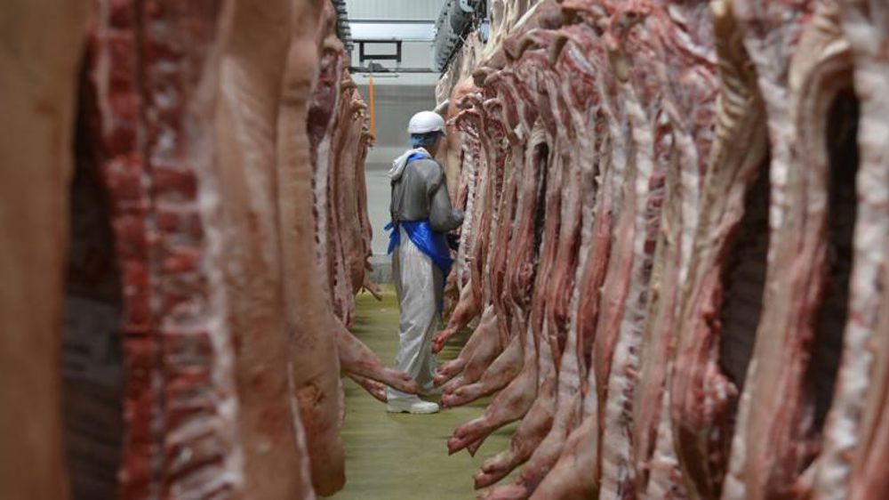 Le repli des abattages français se poursuit 