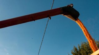 Des exportations de céréales dynamiques Des exportations de céréales dynamiques