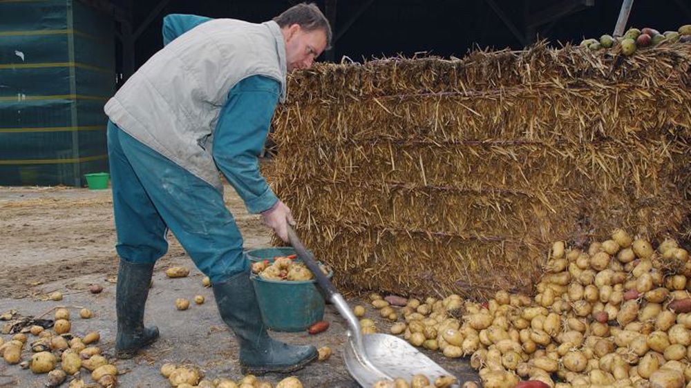 Orienter les stocks vers l’alimentation animale