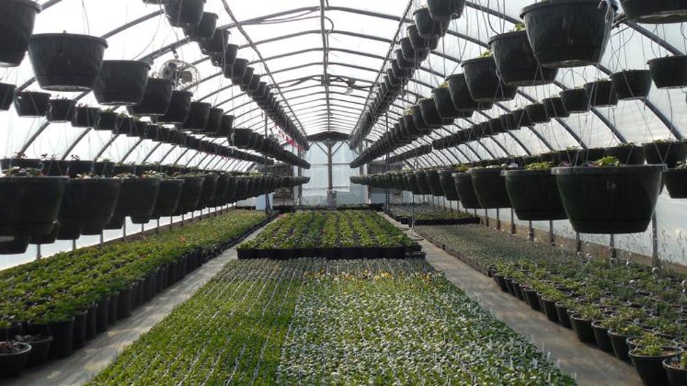 Une aide de 25 millions d’euros pour l’horticulture