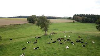 Ils se penchent sur le climat et sur l’agricultureVers une Europe laitière plus Ils se penchent sur le climat et sur l’agricultureVers une Europe laitière plus