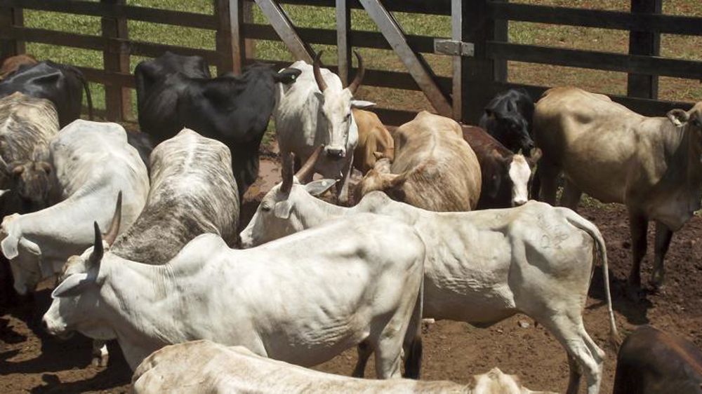 Les exportations mexicaines en perte de vitesse