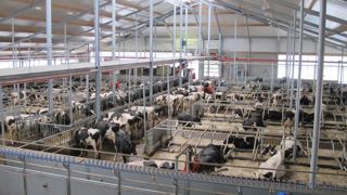 La course aux volumes s’achève aux Pays-Bas La course aux volumes s’achève aux Pays-Bas