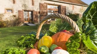 Les aides pour les activités d’agritourisme Les aides pour les activités d’agritourisme