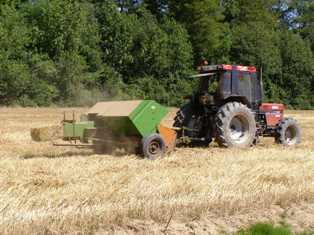 Indispensable, le transport de la paille ne sera pas suffisant pour compenser le manque à gagner des éleveurs