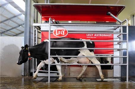 lely robot