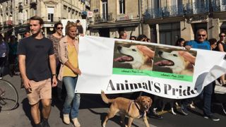 500 marcheurs pour l’« Animal’s pride » 500 marcheurs pour l’« Animal’s pride »