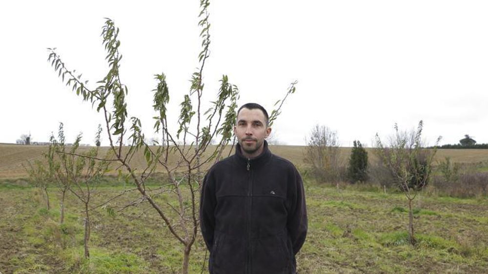 Mathieu a repris ces amandiers plantés par son père en 2017. Il a récolté quelques fruits en vert à la main en 2020 et devrait faire la première récolte mécanique en 2021. © Frédérique Ehrhard