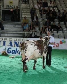 concours normand Space